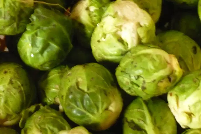 Brussels Sprouts - Kg